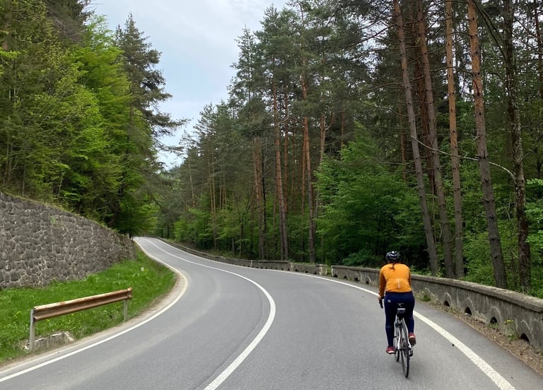 Counselling and therapy in Paddington, Marylebone, Kilburn, Camden, London