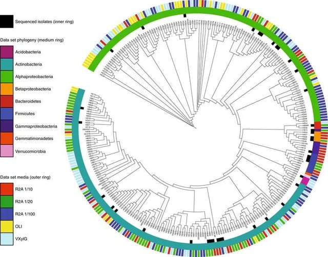 analisis metagenoma bioinformatica mexico