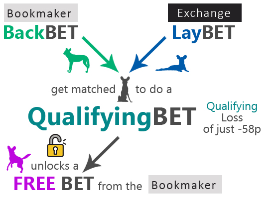 how to do matched betting diagram