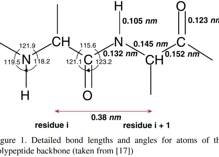 Detailed bond lengths and angles for atoms of the polypeptide backbone