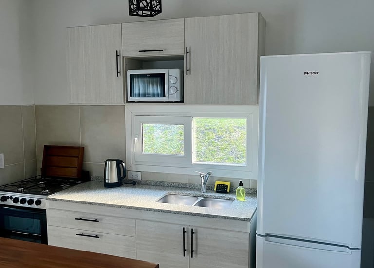 Elementos de la cocina: microondas, heladera, freezer, lavado, pava eléctrica, horno, hornalla, etc.