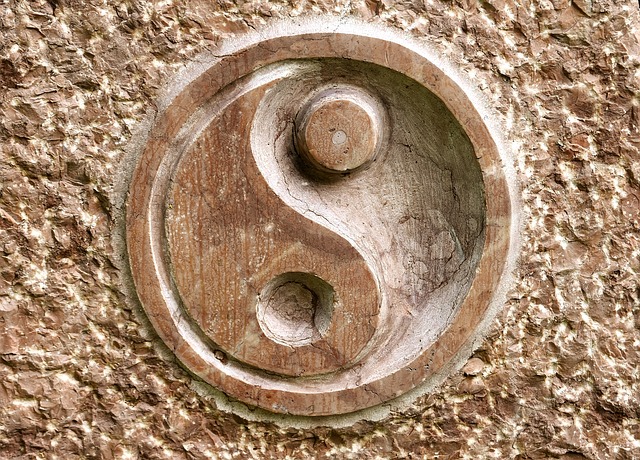 Chinese Medicine Theory