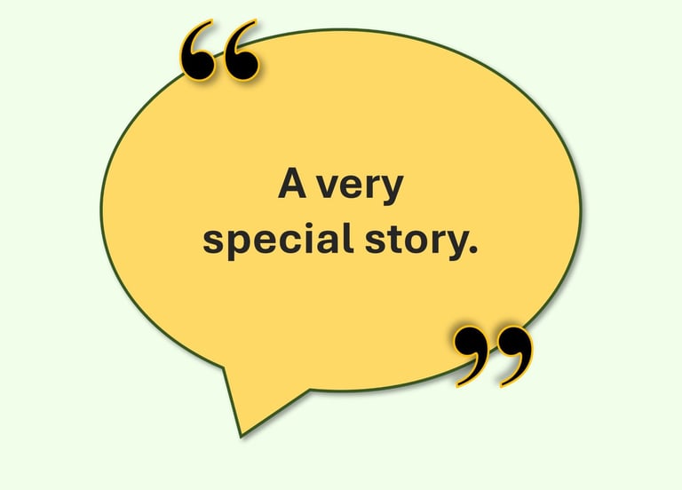 audience feedback to the sunny hours musical