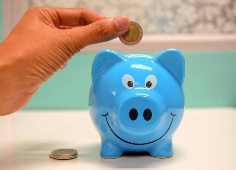 a person putting a coin in a piggy bank