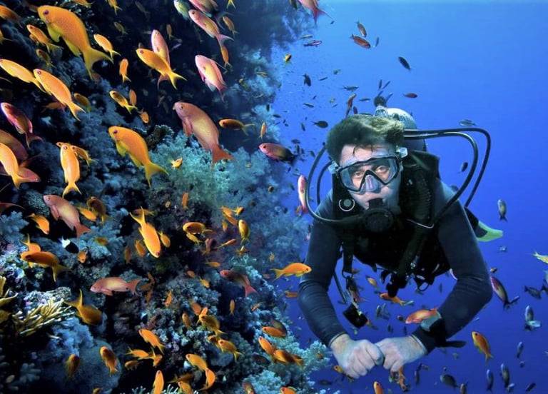 Buceo
