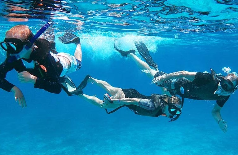 Snorkel