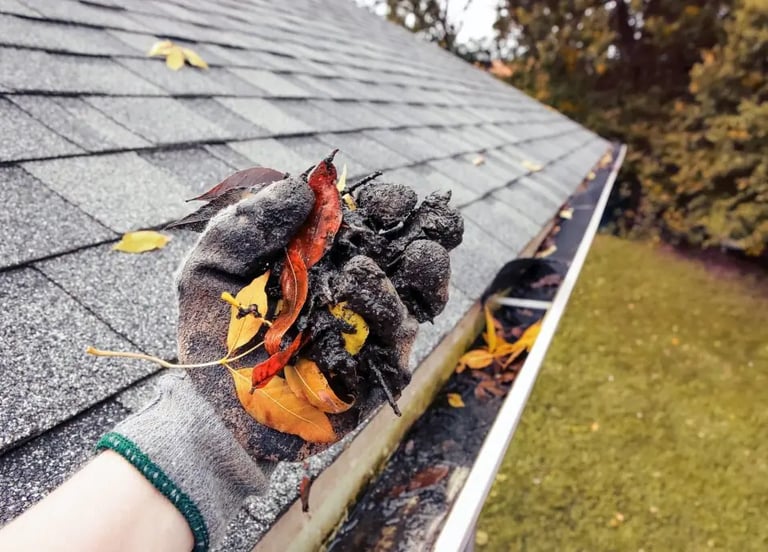Clogged gutter filled with leaves and debris needing cleaning