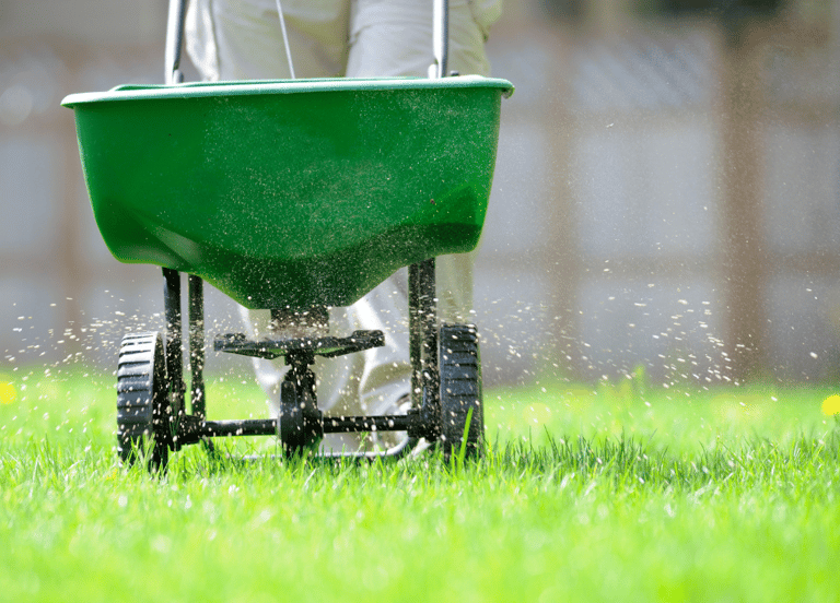 Professional granular fertilizer application in Toronto by Avenue Seasons Inc.