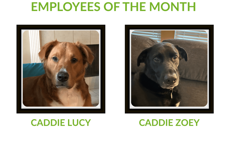 Trash Can Caddie local valet mascot dogs