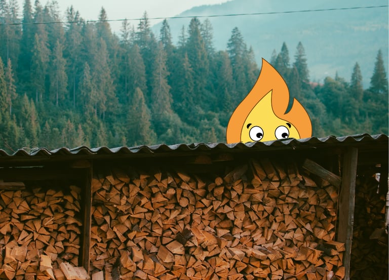 Maxima flamme de MaxThomasBois livre partout en France du Bois de chauffage et en Bourgogne