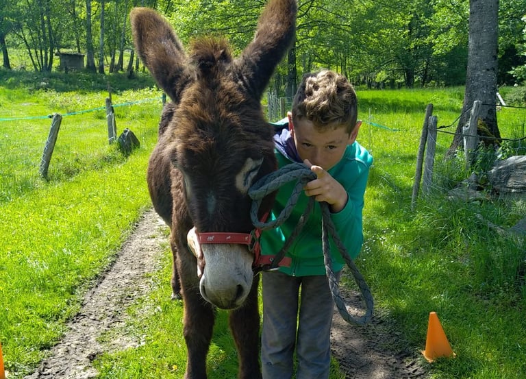 atelier ânier à l'année