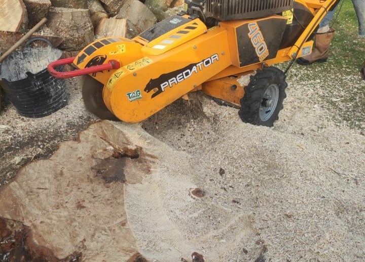 what is the cost of stump grinding in cheltenham Gloucestershire by Hamilton Trees and Gardens