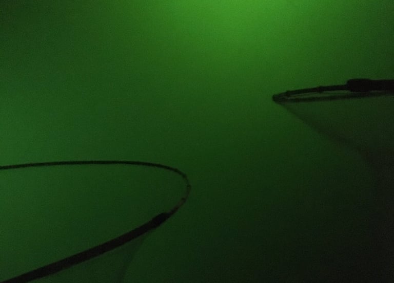 a green light shining through a green wall