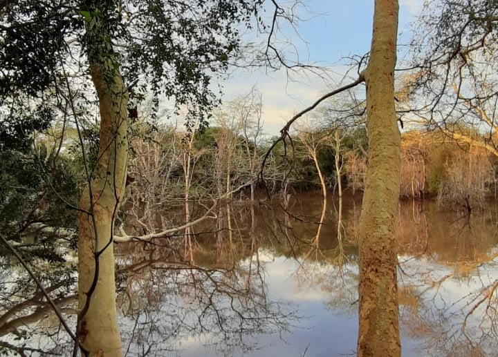 Dam near the Phinda river boundary at Albizia self catering tents and glamping in Hluhluwe