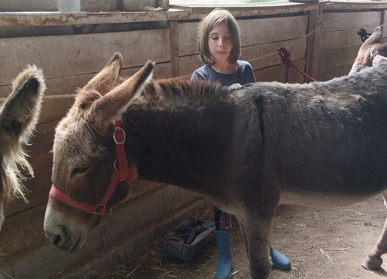 atelier découverte de l'âne