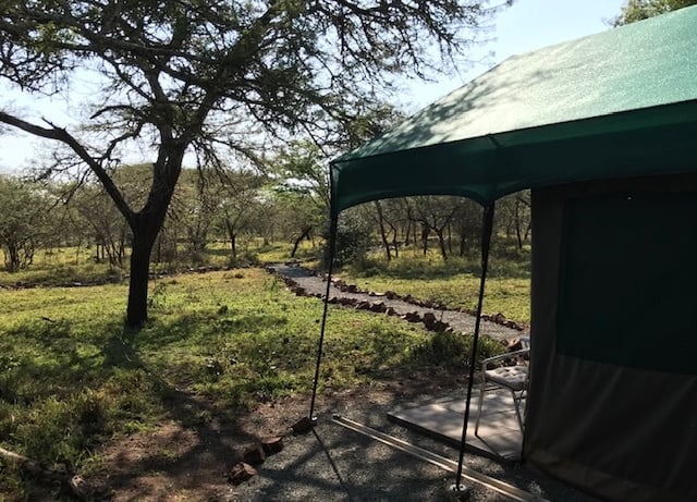 Owner run and intimate accommodation at Albizia self catering tented camp in Hluhluwe