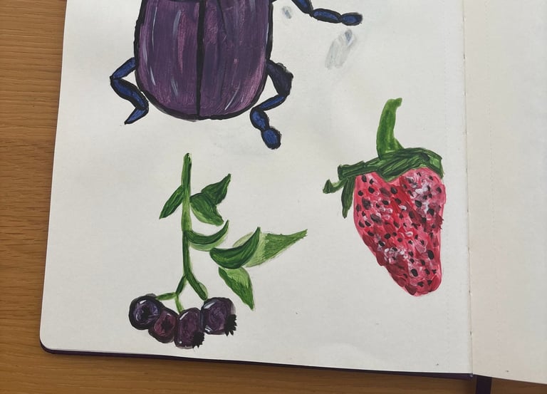 a book opened to show a drawing of a buggy buggy