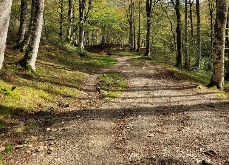 Métaphore chemin de thérapie