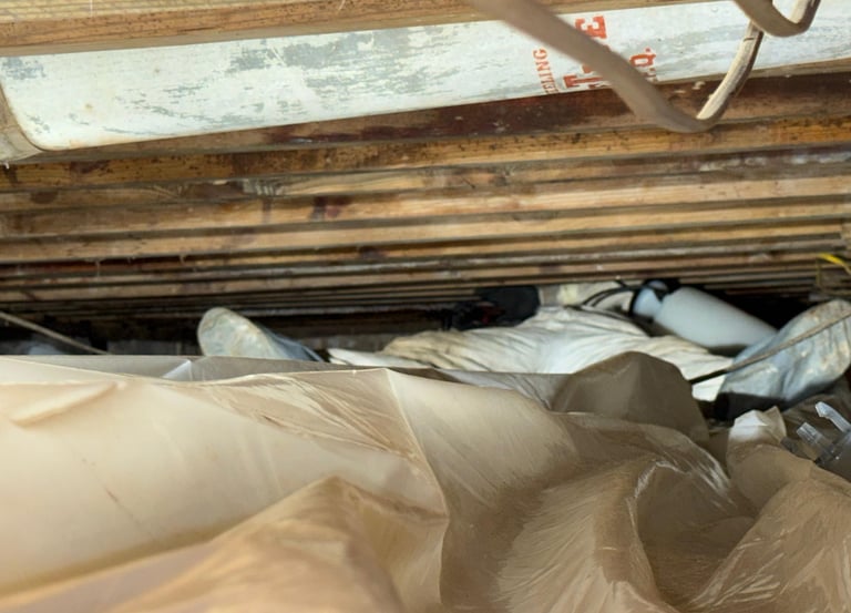 crawl space cleaning