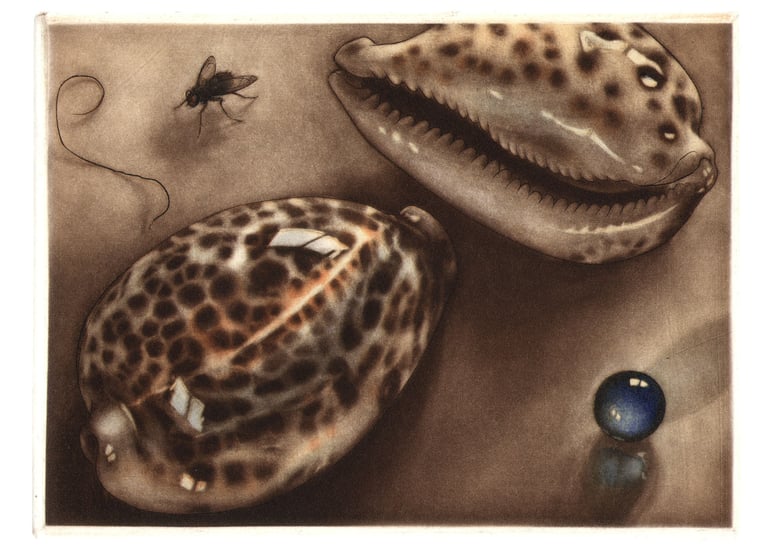 Mezzotint Color Aquatint Olive shells Kalamata olives stella Octangula Polyhedron Robert De Groff