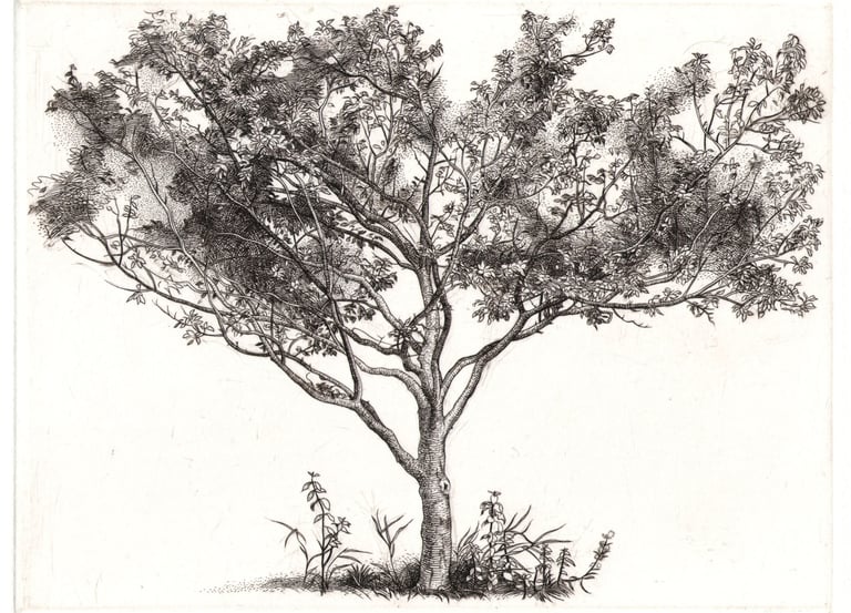 Plum Tree hand engraving Robert De Groff DeGroff 