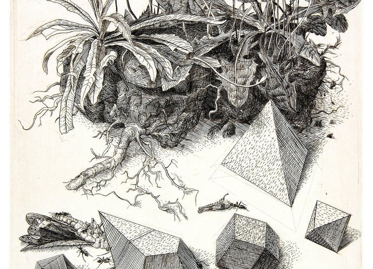 Piece of Turf Durer Homage hand engraving grasshopper polyhedra Robert De Groff DeGroff