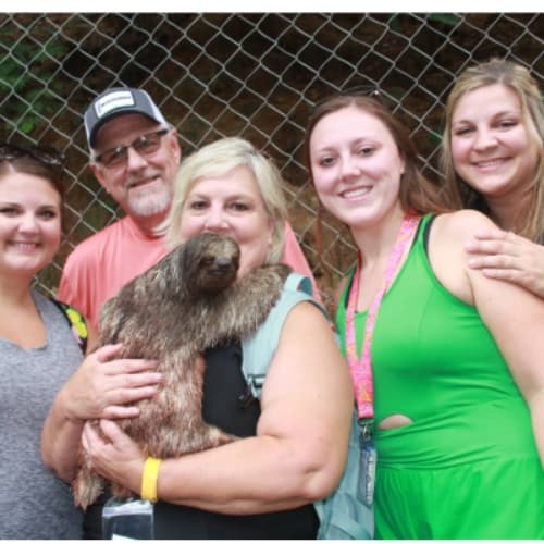 vienes en familia puedes disfrutar de una caricia juntos con el oso perezoso