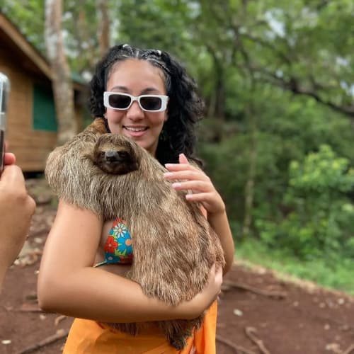 disfrura de la caricia de un oso perezoso