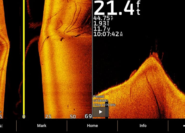 Garmin sonar images of branches and rocks on side view and down view