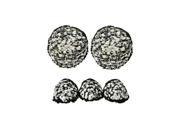 Conjunto de Flores B Simples consolare