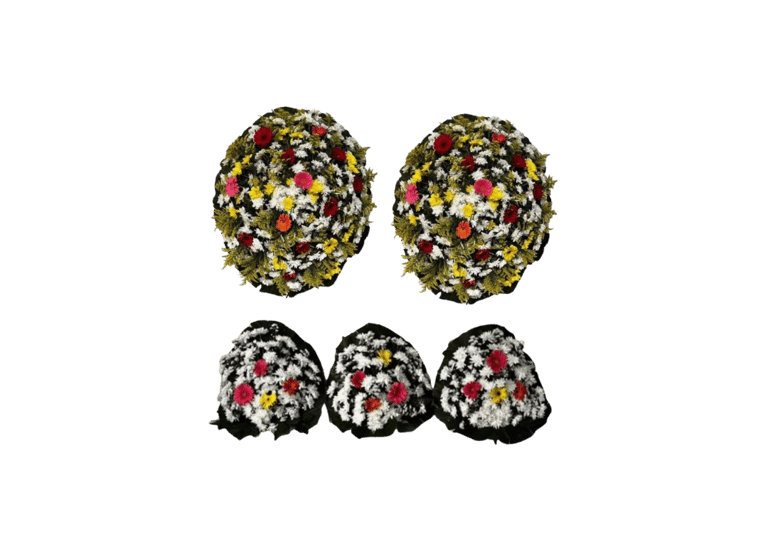 Conjunto de Flores B Colorida consolare