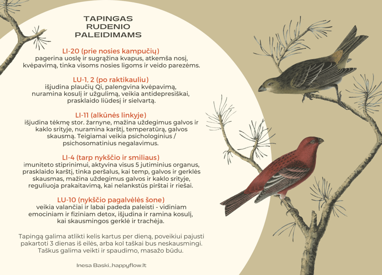 tapingas rudeniui
