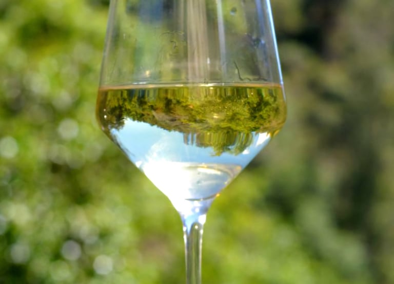 a glass of wine with a reflection durong our Cyprus photography tour 