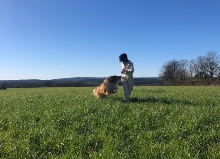 Chien heureux après une promenade avec sa pet sitter à Rennes, garde animaux , petsitter rennes