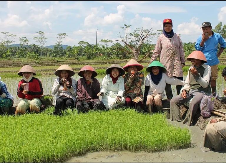 a group of people sitting in a field