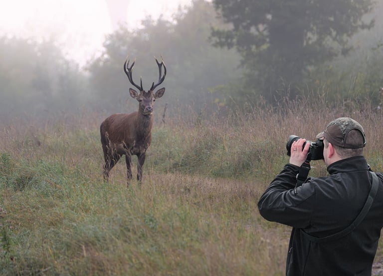 Participant en affût photographique en lisière — Stage photo