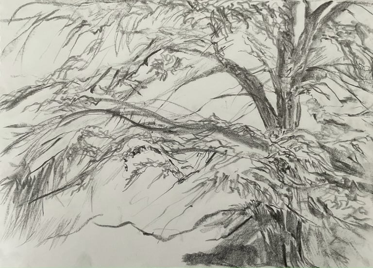 Dumfries House Residency - through the trees