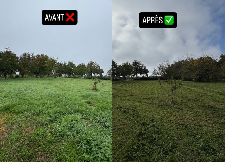 entretien d'espaces verts - tonte - taille - debroussaillage - nettoyage espace vert a cognac