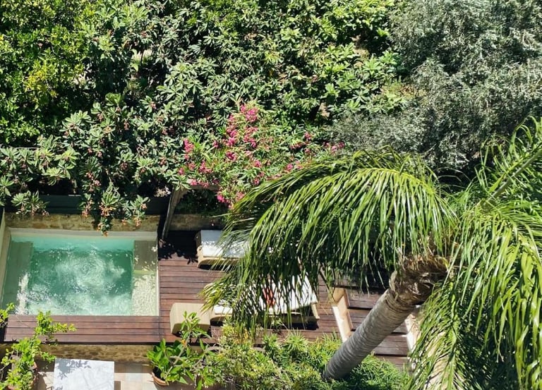 Luxury garden terrace with private plunge pool, wooden deck, and tropical palm tree.