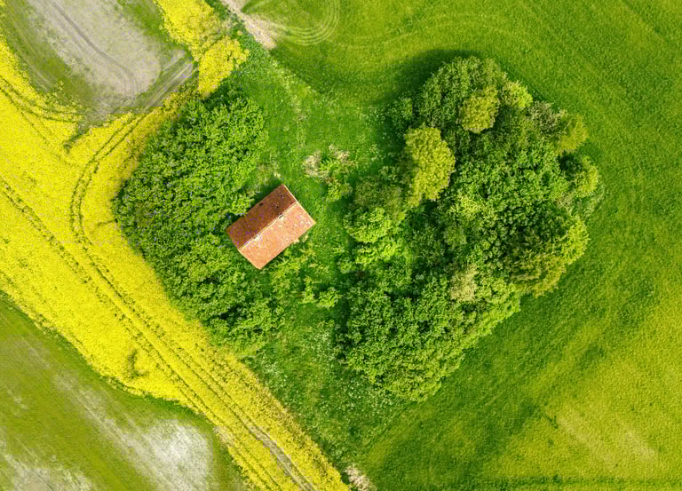 Topo Vizija geodezijos paslaugos Tauragėje žemės sklypų formavimo ir pertvarkymo projektai