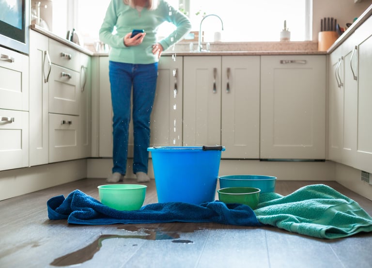 Leak in kitchen
