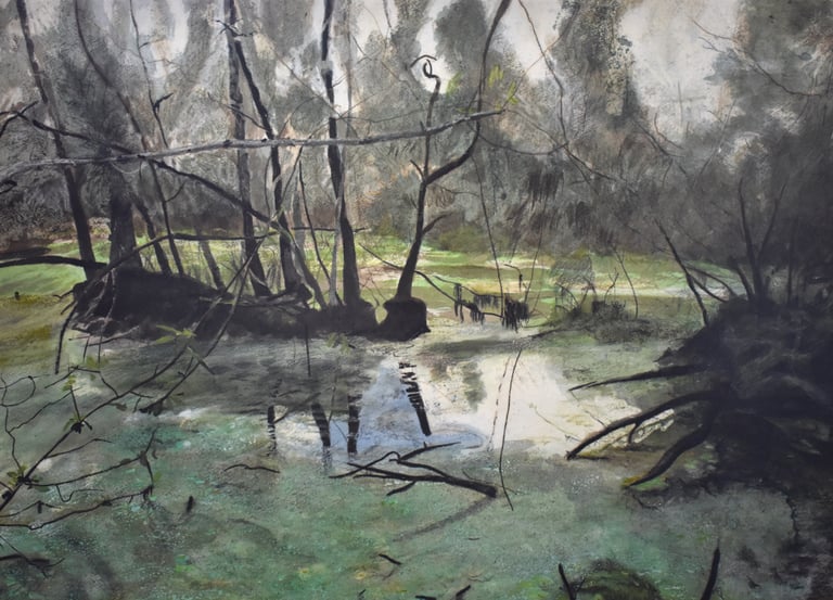 Trees and weeds in a swamp under a humid sky.