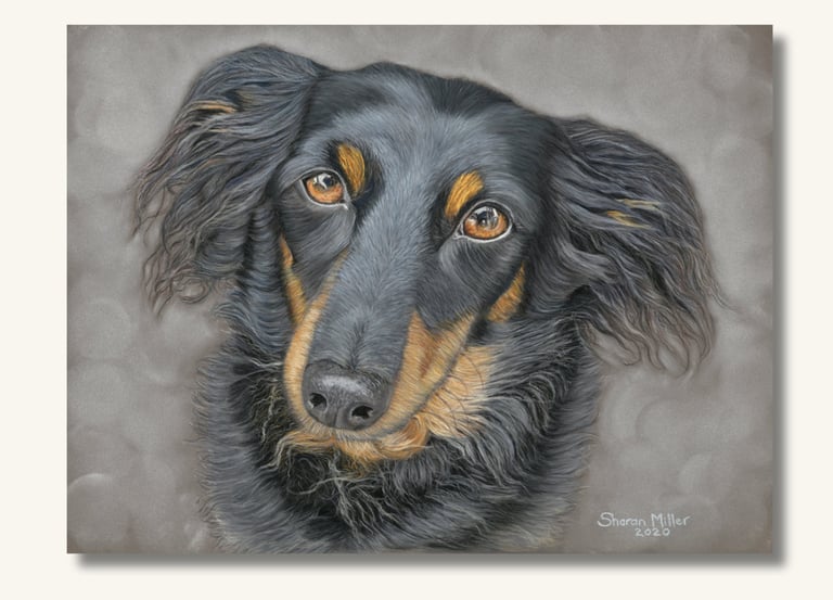 Pet Portrait Artist