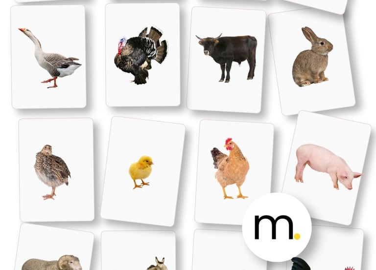 Printed Montessori Farm animals flash cards English Spanish real photographs