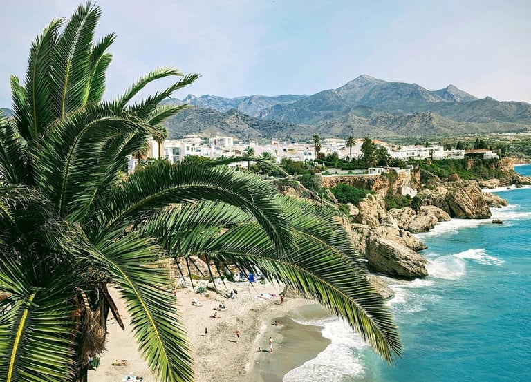 Playa Calahonda beach with sand, sea, and palm trees