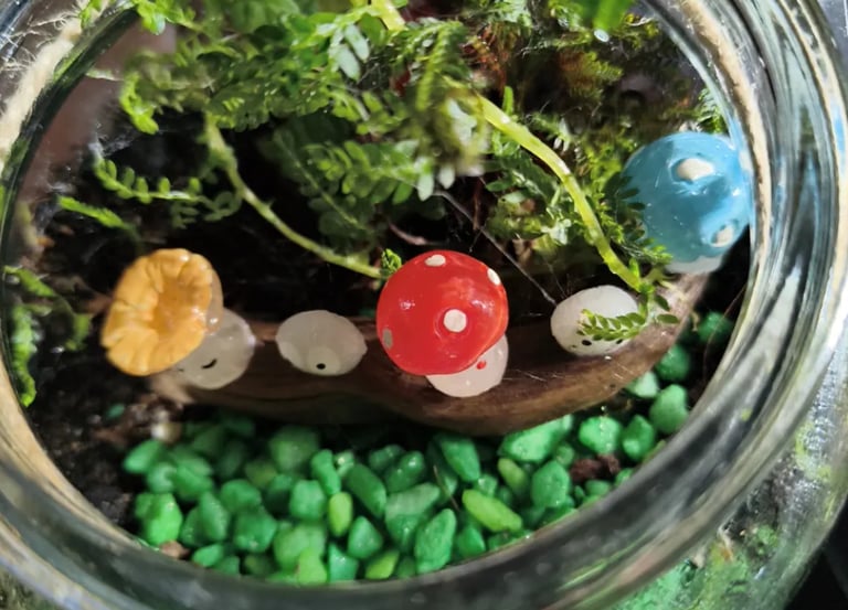 Get Growing Terrariums Workshop build with mushrooms, ferns and moss. Garden Gifts & Glass, Cairns