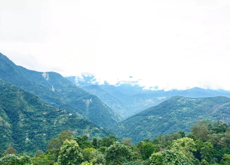Pine Valley View Homestay - Chakung Homestay