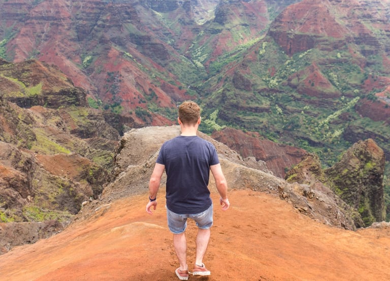 Vue sur le Waimea Canyon à Kauai