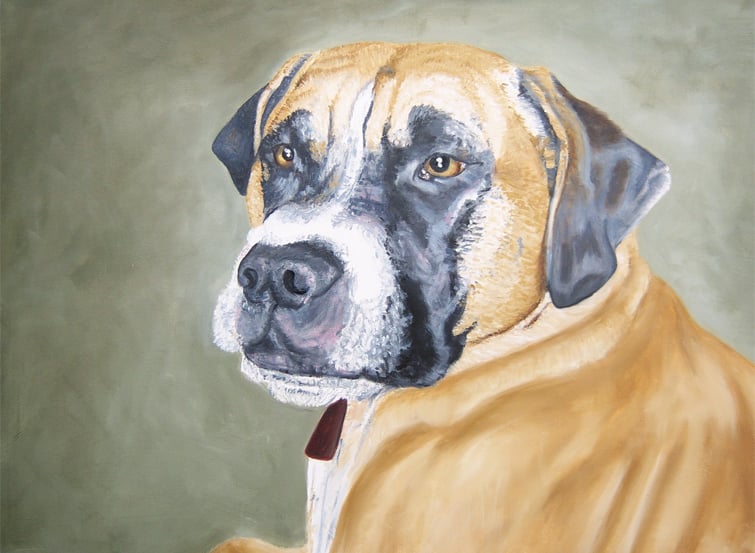 dog pet portrait, cat pet portrait, animal pet art , custom painting from you  photograph