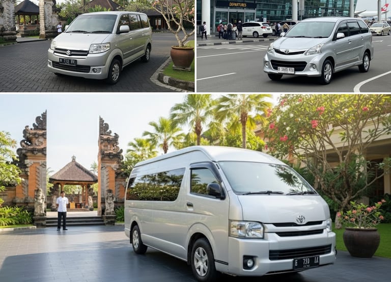 Bali private driver service car